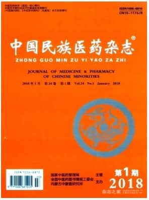 中国民族医药