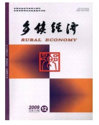 乡镇经济