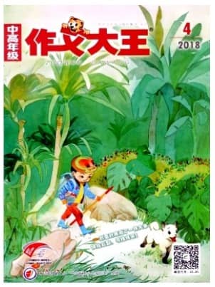 作文大王