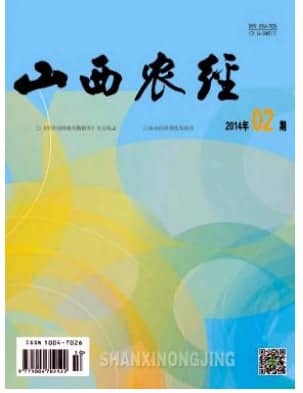 山西农经