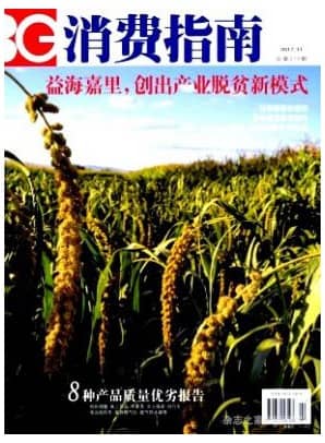 消费指南