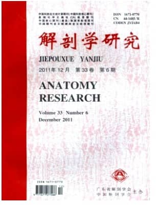 解剖学研究