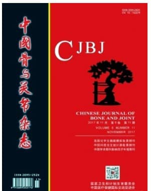 中国骨与关节