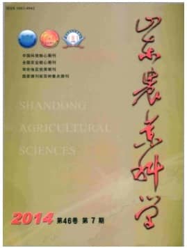 山东农业科学