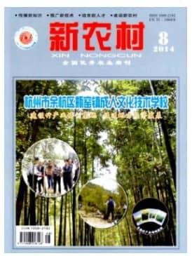 新农村