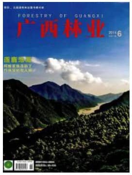 广西林业