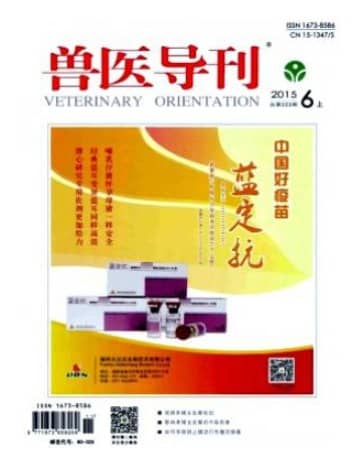 兽医导刊