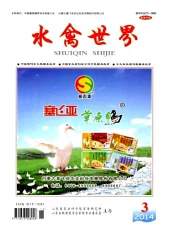 水禽世界