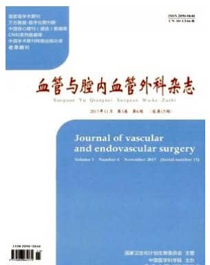 血管与腔内血管外科