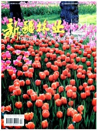 新疆林业