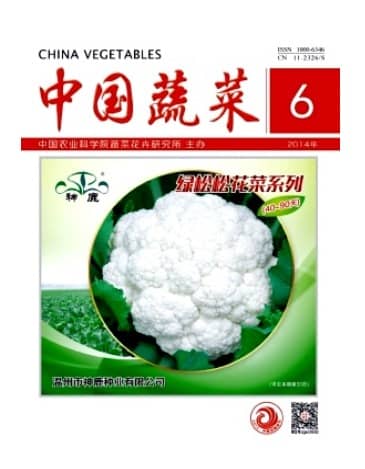 中国蔬菜
