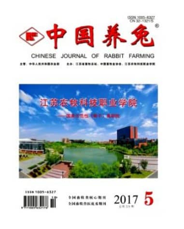 中国养兔