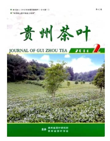 贵州茶叶