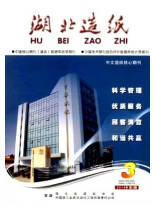 湖北造纸
