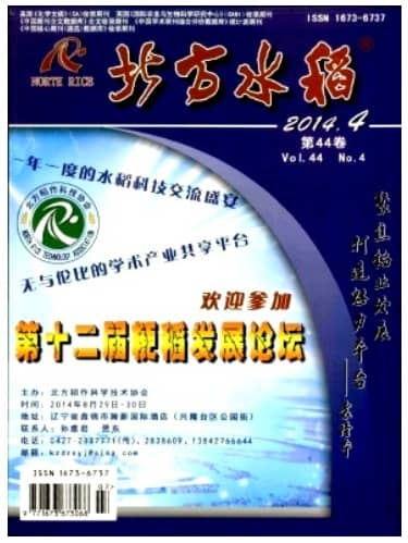 北方水稻