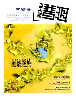 普洱