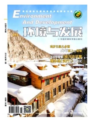环境与发展