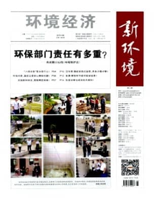 环境经济
