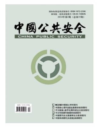 中国公共安全
