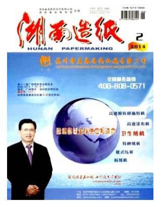 湖南造纸