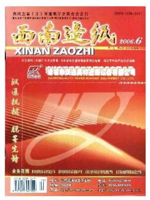 西南造纸