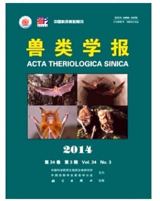 兽类学报