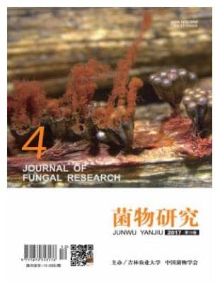 菌物研究