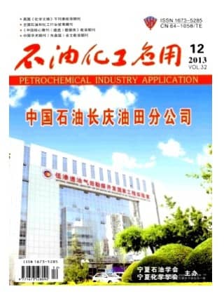 石油化工应用