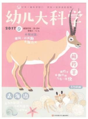 东方娃娃