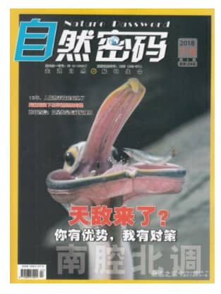 自然密码