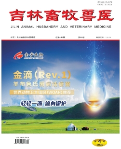 吉林畜牧兽医