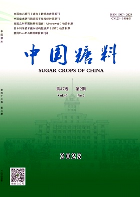 中国糖料