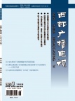 西部广播电视