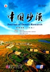 中国沙漠