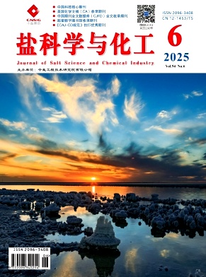 盐科学与化工