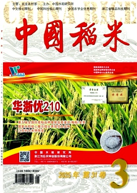 中国稻米