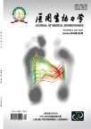 医用生物力学