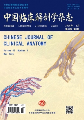 中国临床解剖学