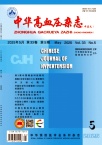 中华高血压